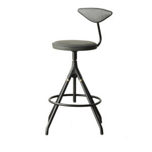 BS-100 - עור-אמיתי